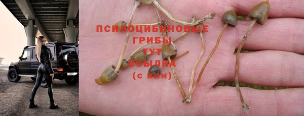 крисы Новодвинск
