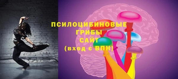 соль ск Нефтегорск
