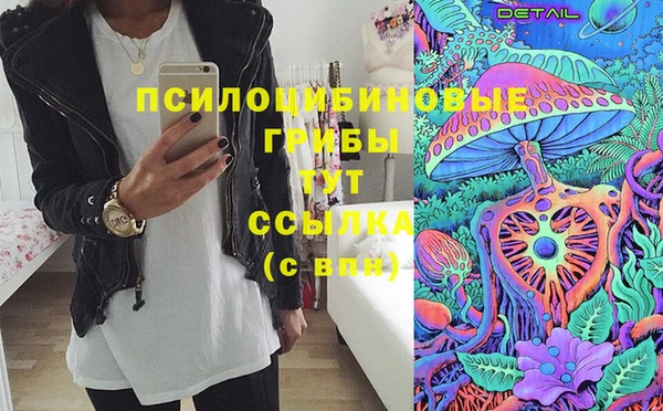 гидропоника Шенкурск