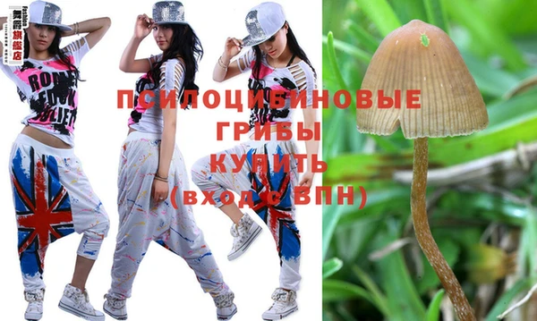 молекула духа Нея