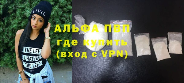 крисы Новодвинск