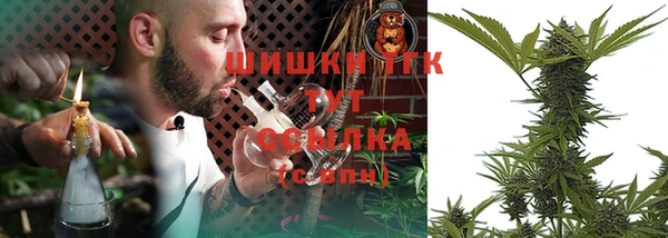 первитин Новозыбков