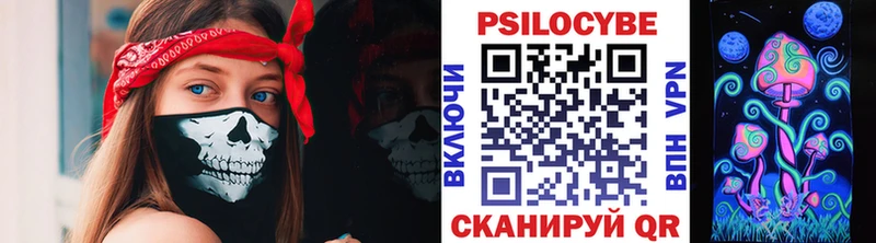 купить наркотики цена  Чернушка  Псилоцибиновые грибы прущие грибы 